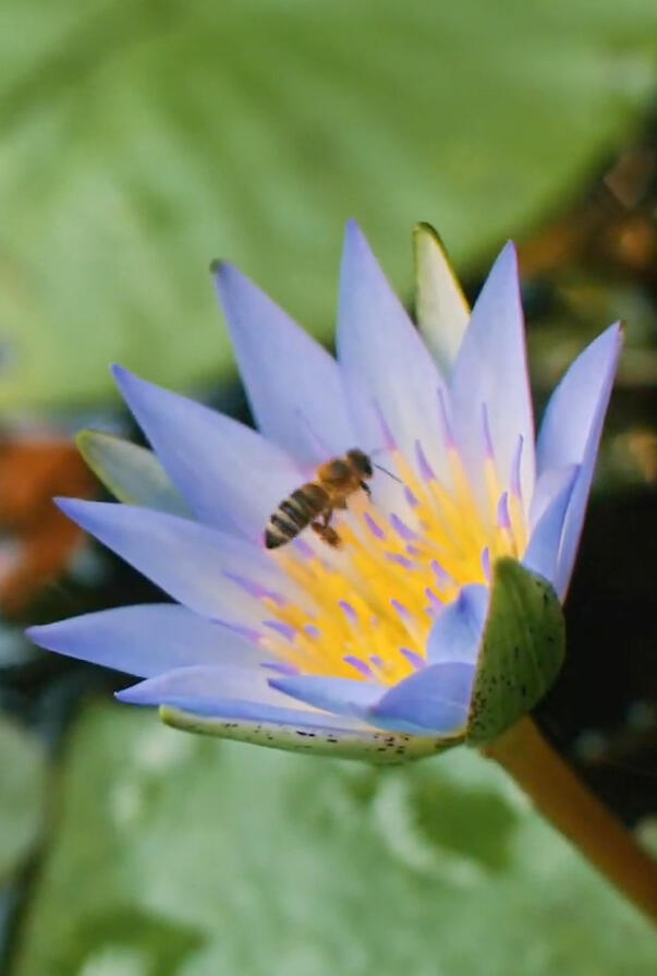 Editing and color grading