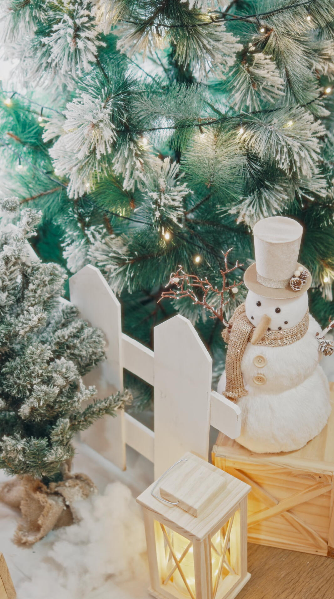 Shooting, editing and color grading